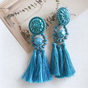 H&M Blue Tassel Fashion Earrings